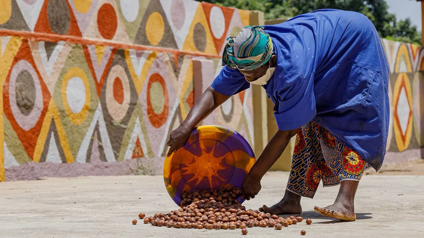 A woman in a blue smock tips a tray of shea nuts onto the ground in front of a painted wall